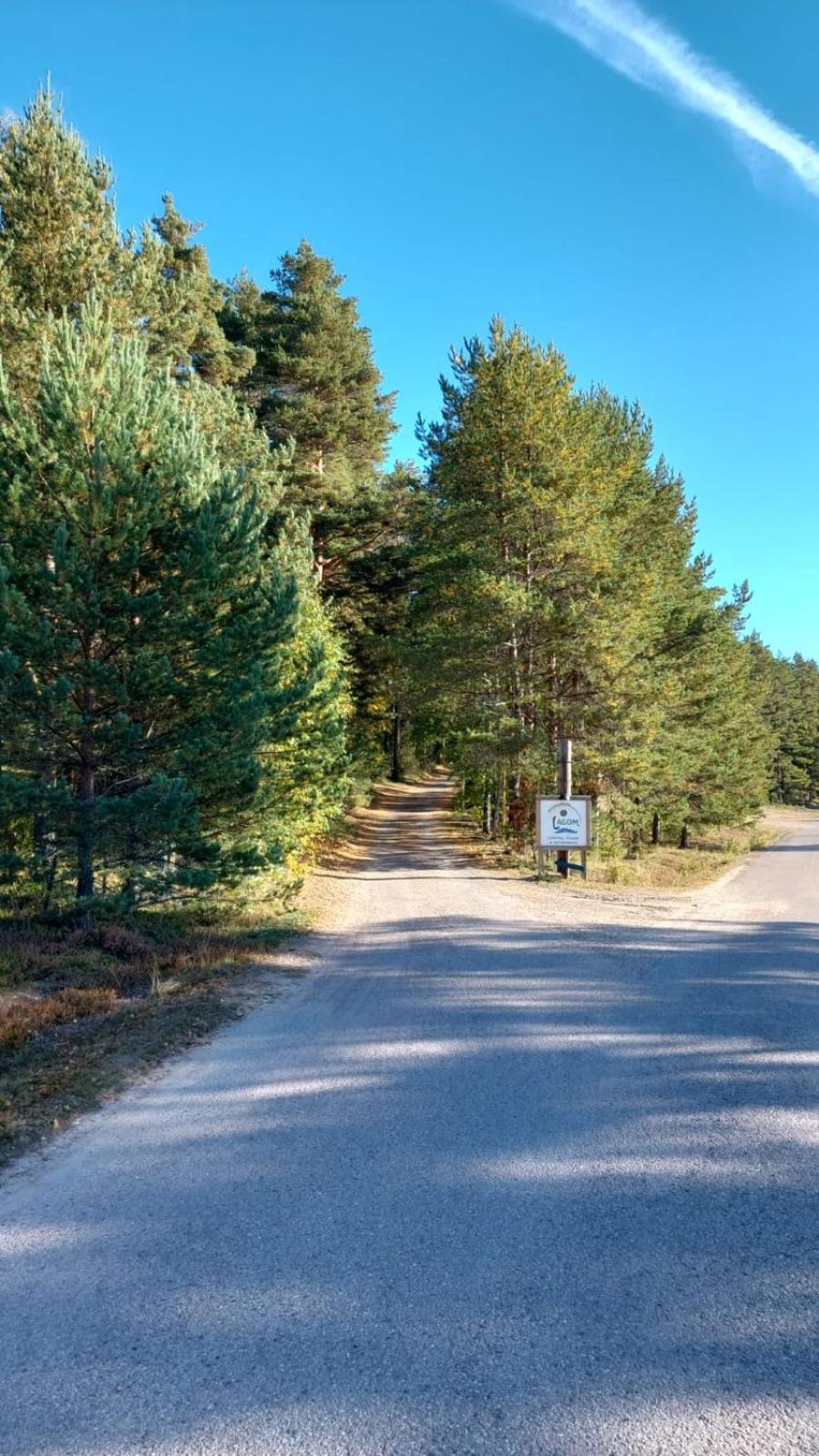 Gräsmark Hostel And Vandrarhem Lupin Naturcamping Lagom מראה חיצוני תמונה